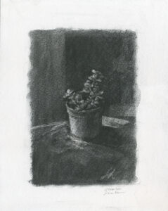 fiore 2 bassa72