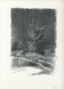 fiore010 bassa72